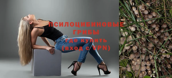 кокс Аркадак