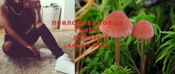 трава Арсеньев