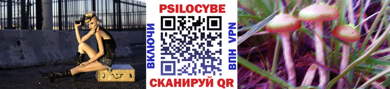 купить наркотики сайты  Похвистнево  гидра   Псилоцибиновые грибы мицелий 